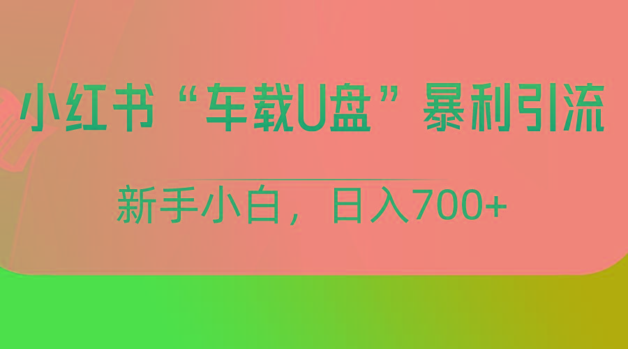 小红书“车载U盘”项目,暴利引流,新手小白轻松日入700+-网创源码