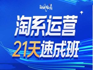 淘系运营21天速成班35期,年前最后一波和2025方向-网创源码