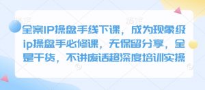 全案IP操盘手线下课，成为现象级ip操盘手必修课，无保留分享，全是干货，不讲废话超深度培训实操-网创源码