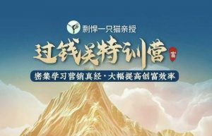 剽悍一只猫-过钱关特训营，学习营销真经 大幅度提高创富效率-网创源码