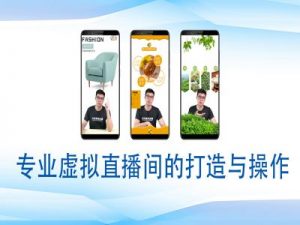 个人虚拟直播间的搭建与操作,专业虚拟直播间的打造与操作-网创源码