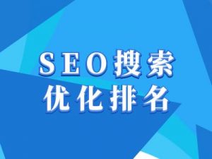 抖音搜索SEO教程，抖音SEO搜索优化排名-网创源码