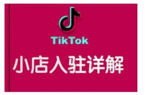 TikTok跨境小店运营全攻略，帮助你独立运营TK跨境小店的能力，实现销量增长-网创源码