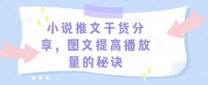 小说推文干货分享，图文提高播放量的秘诀-网创源码