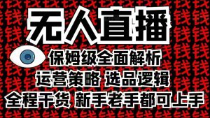 2025无人直播这么做就对了，保姆级全面解析，全程干货，新手老手都可上手-网创源码