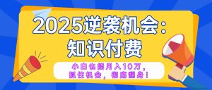 2025逆袭项目——知识付费，小白也能月入10万年入百万，抓住机会彻底翻...-网创源码