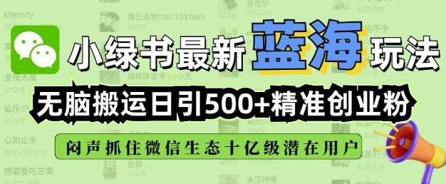 小绿书无脑搬运引流,全自动日引500精准创业粉,微信生态内又一个闷声发财的机会-网创源码