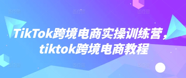 TikTok跨境电商实操训练营，tiktok跨境电商教程-网创源码