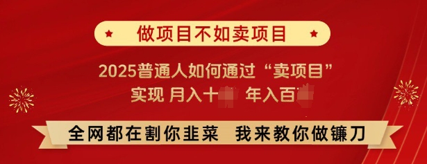 必看，做项目不如卖项目，2025普通人如何通过“卖项目”实现月入十个，年入百个-网创源码