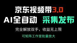 京东视频带货3.0，Ai全自动采集＋自动发布，完全解放双手，收入无上限...-网创源码