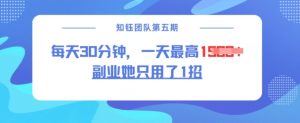 副业她只用了1招，每天30分钟，无脑二创，一天最高1.5k-网创源码