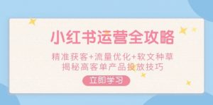 小红书运营全攻略,精准获客+流量优化+软文种草,揭秘高客单产品投放技巧-网创源码