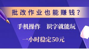 批改作业也能赚钱？0门槛手机项目，识字就能玩！一小时稳定50元！-网创源码