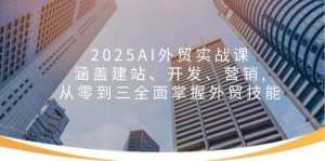 2025AI外贸实战课:涵盖建站、开发、营销, 从零到三全面掌握外贸技能-网创源码