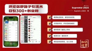 评论区野路子截流创业粉新方法,日被动加300+创业粉,精准引流被动添加...-网创源码