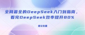 全网最全的DeepSeek入门到指南,看完DeepSeek效率提升80%(建议收藏)-网创源码