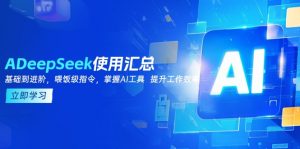 DeepSeek使用汇总，基础到进阶，提示词技巧，掌握AI工具  提升工作效率-网创源码