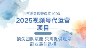 2025视频号代运营 日躺赚1000＋ 只需提供账号-网创源码