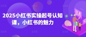 2025小红书实操起号认知课,小红书的魅力-网创源码