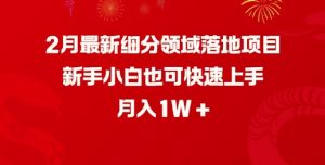 2月最新细分领域落地项目，新手小白也可快速上手，月入1W-网创源码