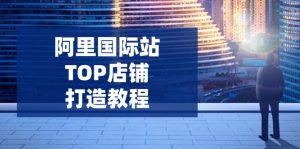 阿里国际站TOP店铺打造教程:涵盖平台到高阶,解决运营难题,提升询盘-网创源码