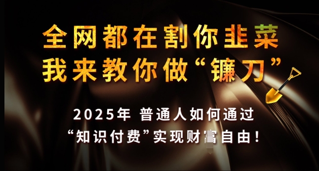 全网都在割你韭菜，我来教你做镰刀，2025年普通人如何通过 知识付费 实现财F自由【揭秘】-网创源码