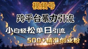 跨平台暴力引流，私域完美闭环，日引500+精准创业粉-网创源码