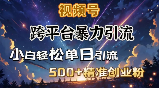跨平台暴力引流，私域完美闭环，日引500+精准创业粉-网创源码