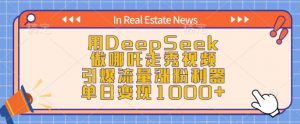 用DeepSeek做哪吒走秀视频，引爆流量涨粉利器，单日变现1k-网创源码