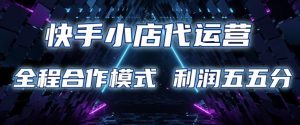 快手小店代运营 限时托管计划 合作模式 利润五五分成【揭秘】-网创源码