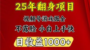 一天收益1000+ 25年开年落地好项目-网创源码