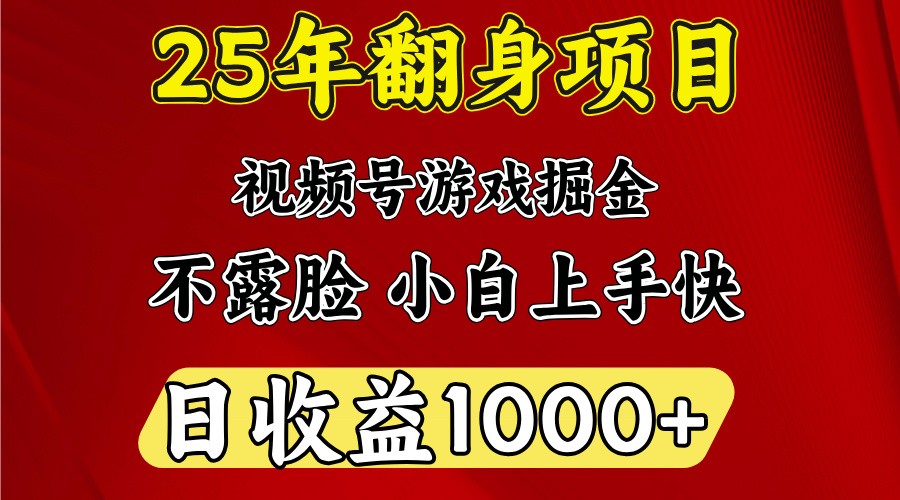 一天收益1000+ 25年开年落地好项目-网创源码