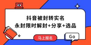 抖音被封转实名攻略，永久封禁也能限时解封，分享解封后高效选品技巧-网创源码