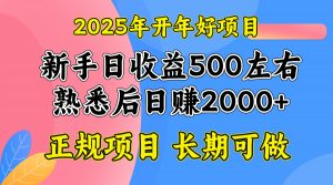 2025开年好项目,单号日收益2000左右-网创源码