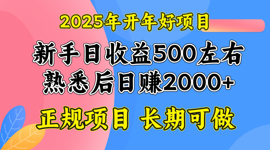 2025开年好项目,单号日收益2000左右-网创源码