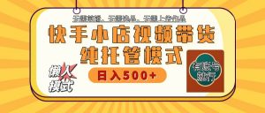 快手小店托管代运营 全程无需操作 二八分成 月入5000+-网创源码
