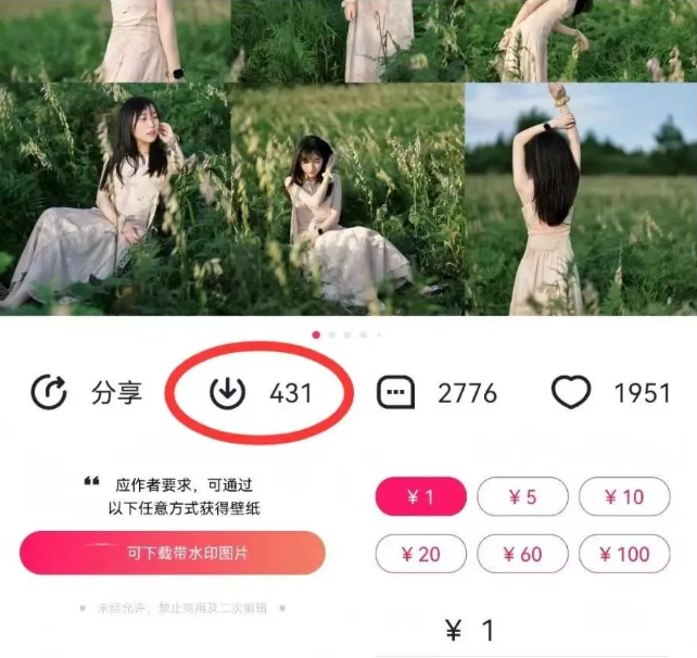 最新图虫搬运项目，收益无上限，利用AI小白也可日赚500+-网创源码