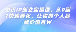 知识IP创业实操课，从0到1快速孵化，让你的个人品牌价值百W-网创源码