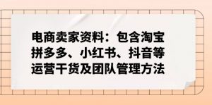电商卖家资料:包含淘宝、拼多多、小红书、抖音等运营干货及团队管理方法-网创源码