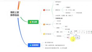 苏博士·淘宝精细化铺货运营陪跑(部分更新至2025)-网创源码