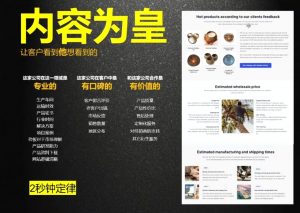 刘老师·外贸询盘增长秘籍从0到1的实战指南-网创源码