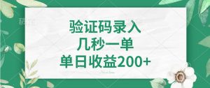 验证码录入，几秒一单，单日收益200+-网创源码
