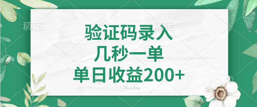验证码录入，几秒一单，单日收益200+-网创源码