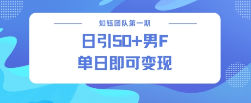 男粉引流新方法不违规，当日即可变现-网创源码