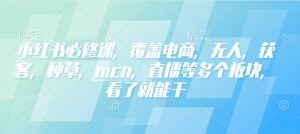 小红书必修课,覆盖电商,无人,获客,种草,mcn,直播等多个板块,看了就能干-网创源码