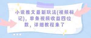 小说推文最新玩法(视频标记)，单条视频收益四位数，详细教程来了-网创源码