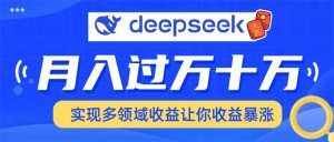 用DeepSeek席卷各大平台,快速上手实现多领域,让你收入猛增-网创源码