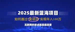 2025最新蓝海项目，零门槛轻松复制，月入10万+，新手也能操作！-网创源码