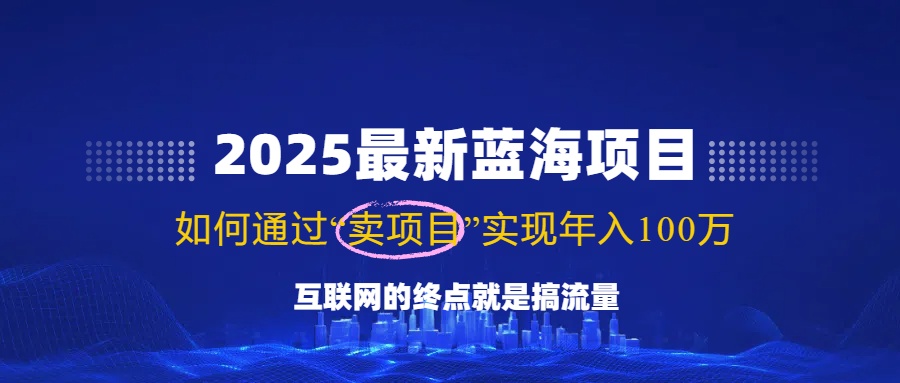 2025最新蓝海项目，零门槛轻松复制，月入10万+，新手也能操作！-网创源码