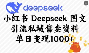 小红书Deepseek图文引流私域售卖资料,单日变现多张-网创源码